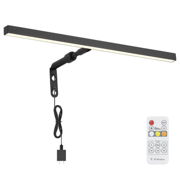 Picture Lights for Paintings Plug in, 16" 4W Adjustable LED Picture Light Art Light with Timer, Remote Control