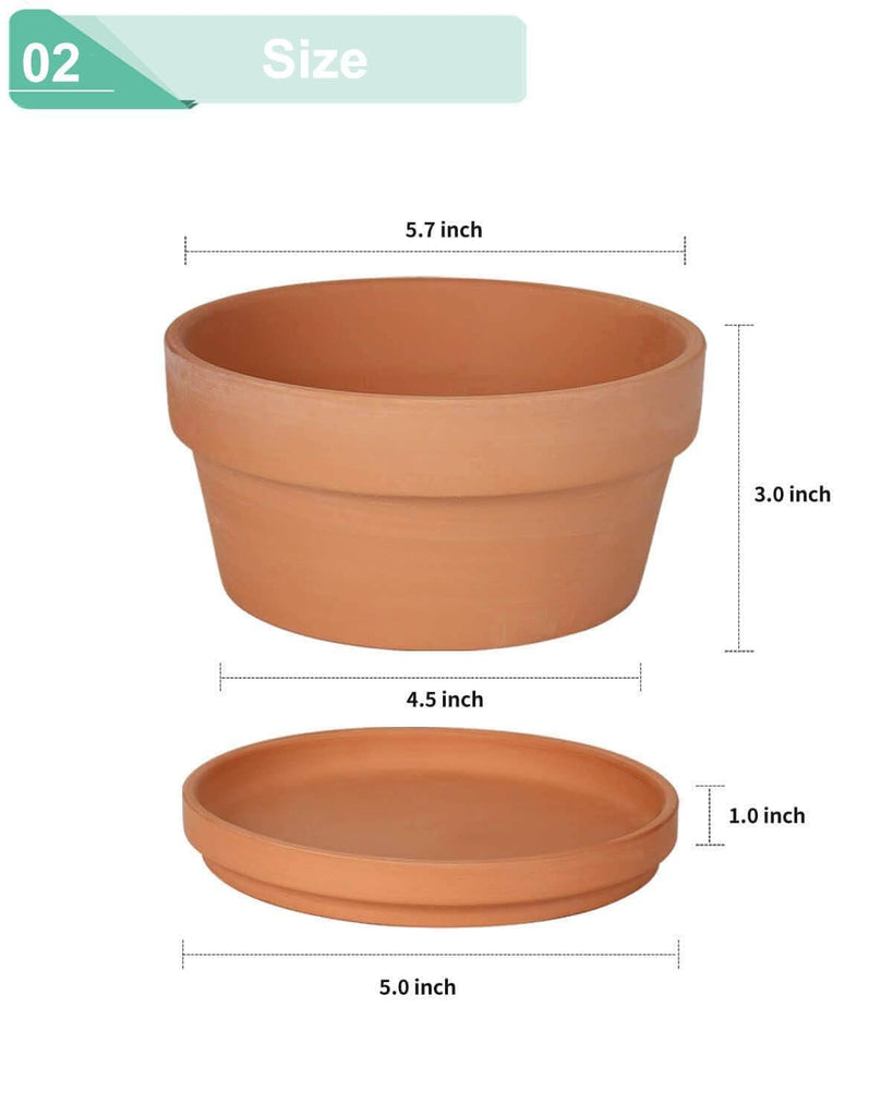 5.7 Inch Terracotta Shallow Succulent Pot - 6 Pack Terra Cotta Clay Pots with Saucer, Cacuts Terra-Cotta Indoor and