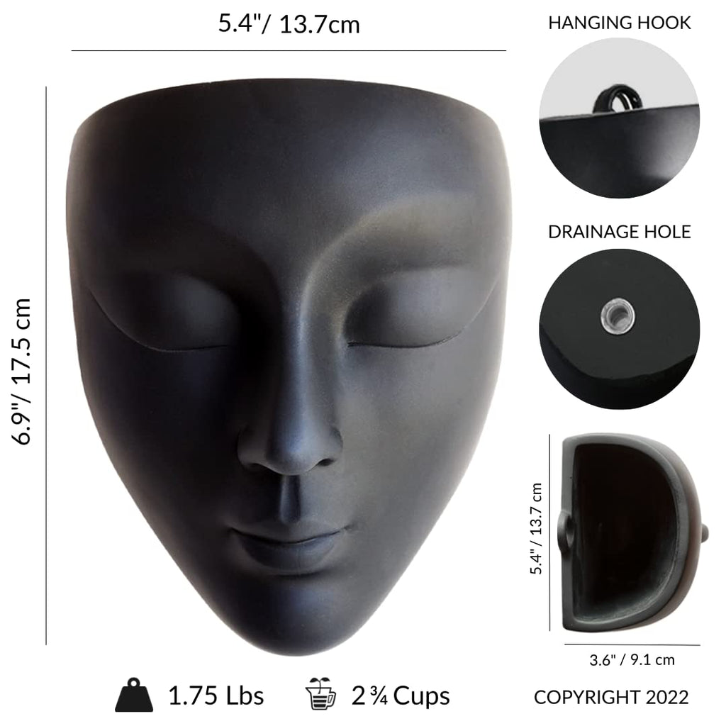 Face Planter, Wall-Mountable Vertical Planter with Drainage Hole, 6x5.25x3.5 inches, Concrete, Black, Modern Style