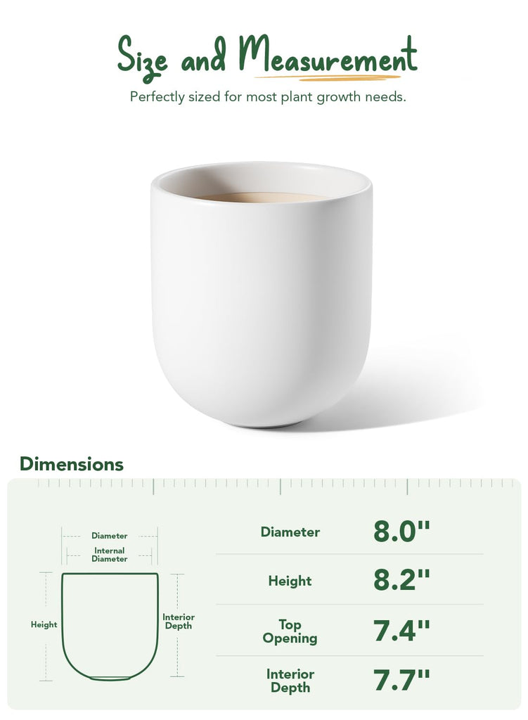 8 Inch Ceramic Plant Pot, Indoor Planter, White
