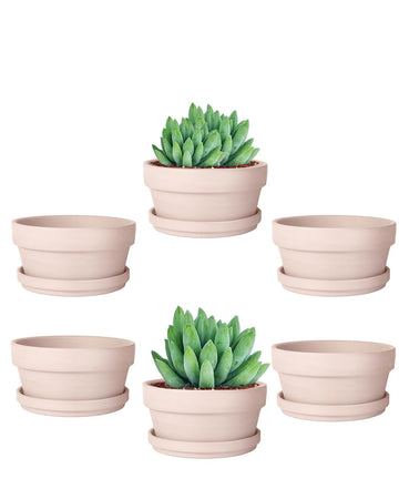4.5 Inch Pink Terracotta Succulent Pots with Saucers, 6 Pack