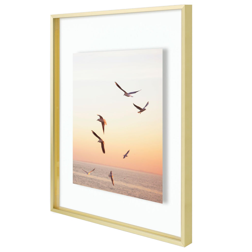 2 Pack 16x20 Gold Metal Floating Picture Frame Real Glass