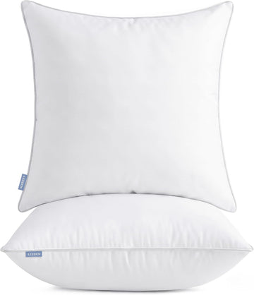 20x20 Pillow Inserts-20 Inch Square Decorative Pillow Insert, Soft Fluffy Throw Pillow Inserts for Sofa & - Set of 2