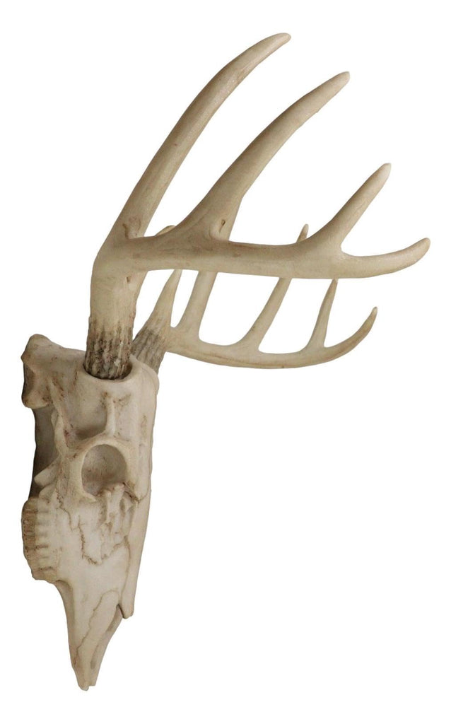 Rustic Hunter Deer 10 Point Buck Skull Trophy Antlers Wall Mounted Plaque Decor Figurine 14.25" Long Hunter's Antler