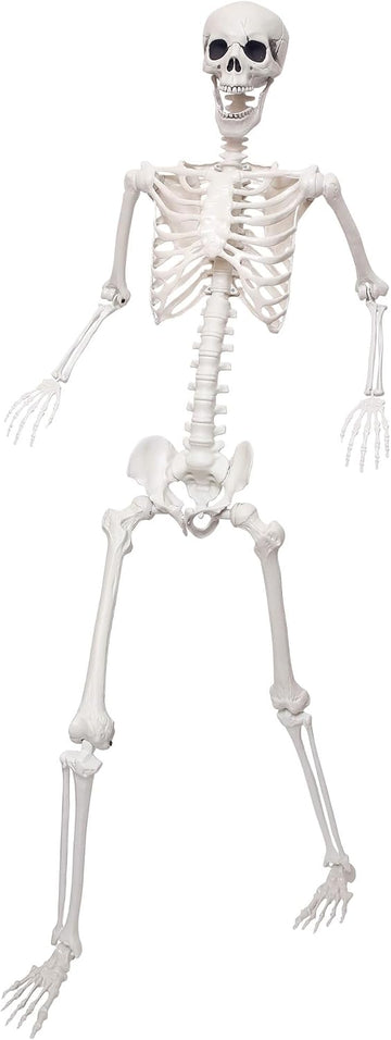 5.9Ft/180cm Life Size Giant Skeleton Poseable Plastic Skeleton for Halloween Decor