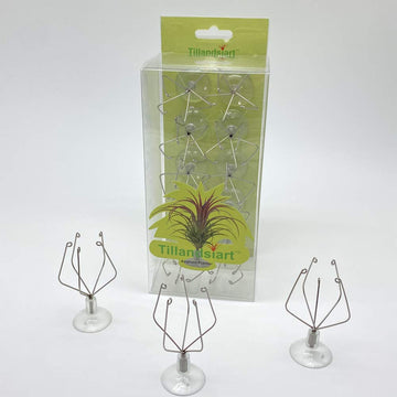 10 Pack Vertical Air Plant Holder (Suction Cup, Stainless Steel Tillandsia Air Plant Planter) A Unique Set of Air