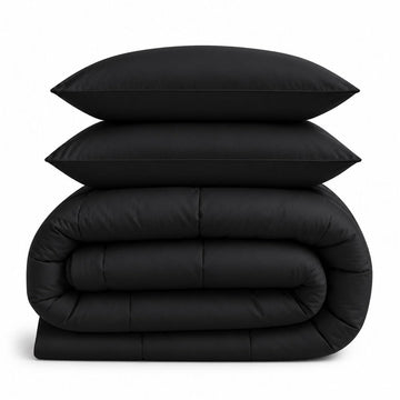 100% Egyptian Cotton 3 Piece-All-Season Down Alternative Comforter Set Box Stitched 800 Thread-Count 100 GSM - Queen