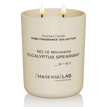 Natural Soy Large Candle| Eucalyptus Mint | 16.6 oz, 95H Burn | Scented Candles for Relaxation, Meditation, Home