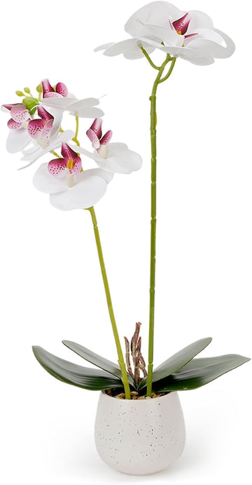Fake Orchid in Vase Artificial Orchids that Look Real with Pot Artificial Flowers Decor (White)