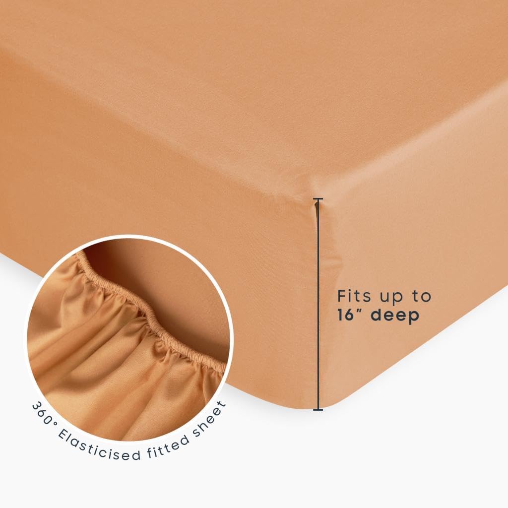 Floral Bedding Set for Girls, Cute Colorful Botanical Flowers Patterned Soft Lightweight Comforter Set with Sheets, 7