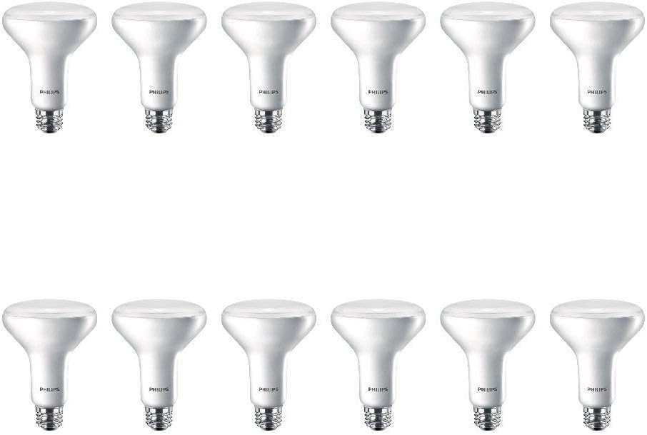 Flicker-Free Frosted BR30 Light Bulb - EyeComfort Technology - 650 Lumen - Daylight (5000K) - 9W=65W - E26 Base