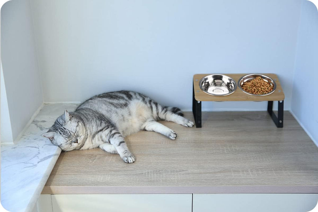 Elevated Cat Bowls Height Adjustable with Stand (Stainless Steel)