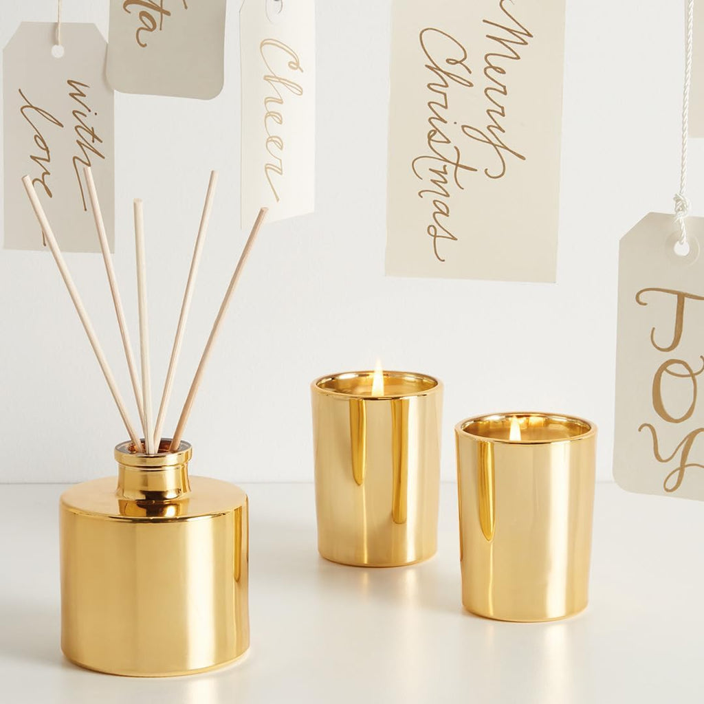 Frasier Fir Reed Diffuser Set - Includes Reeds, Fragrance Oil, and Frosted Glass Bottle - Fragrance Oil Diffuser