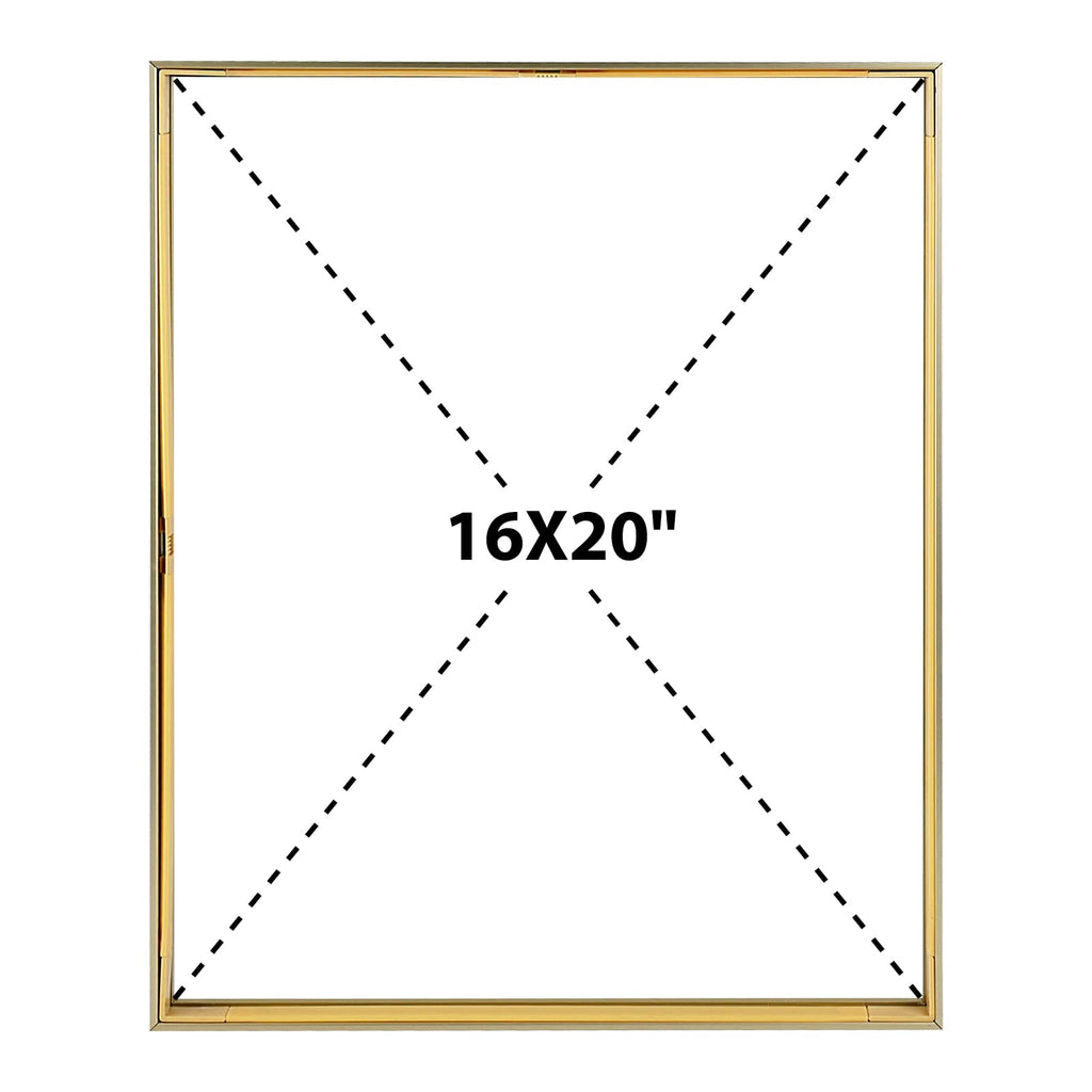 2 Pack 16x20 Gold Metal Floating Picture Frame Real Glass