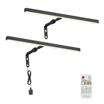 2 Pack Picture Lights for Paintings Plug in, 16" 4W Adjustable LED Picture Light Art Light with Timer, Remote Control