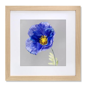23x23 Frame with 19x19 Mat Wood Color Picture Frame Home Decor-1PCS