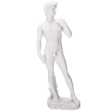 Michelangelo`s `David` Statue Marble White Finish