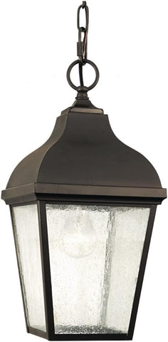 Terrace Outdoor Lighting Pendant Lantern, 1-Light, 150watts, Bronze (8"W 17"H)