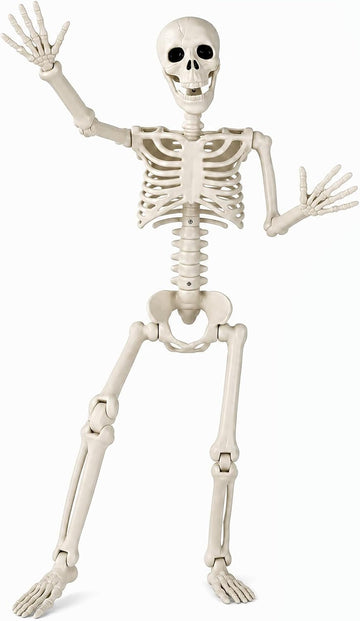 36" Halloween Skeleton, 3 ft Human Skeleton Full Body Posable Joints Plastic Skeleton for Halloween Decoration, Yard