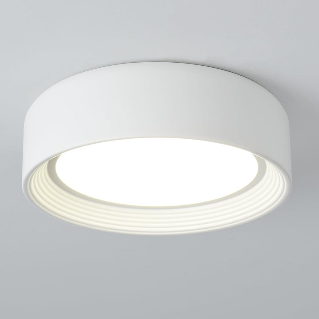 Dimmable White Flush Mount Ceiling Light,11.81 in LED 5CCT Fixture | 24W Matte Close to Ceiling,3000K-6500K Round