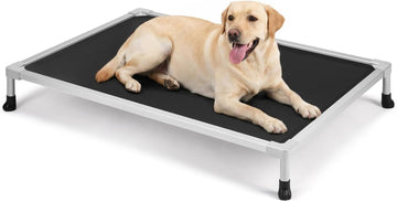 Chew Proof Elevated Dog Bed, Silver Aluminum Dog Cot, Pre-Assembled