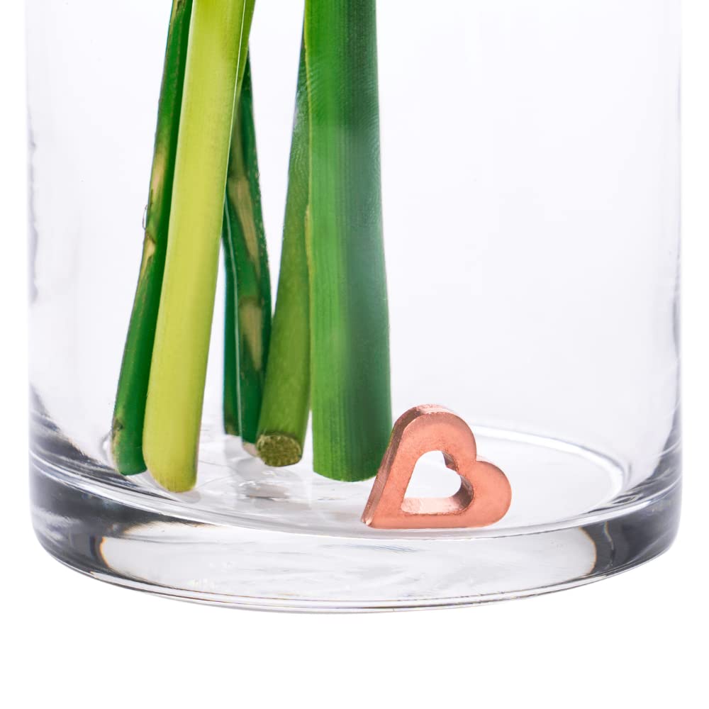 Flower Food Alternative for Fresh Cut Flowers. Copper Charm Keeps Flower Water Clean and Clear. Just Place it in the