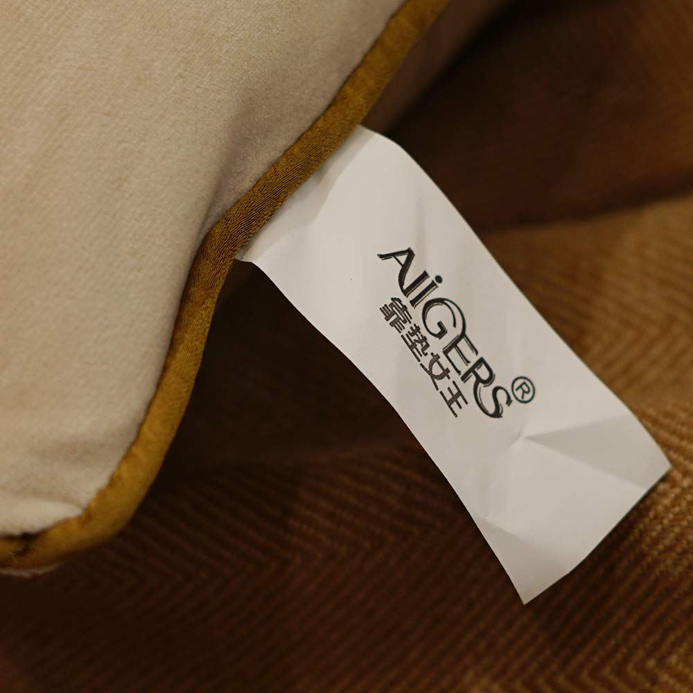 Throw Pillow Cover 18 x 18 Inch, Dark Beige, Velvet, Hidden Zipper