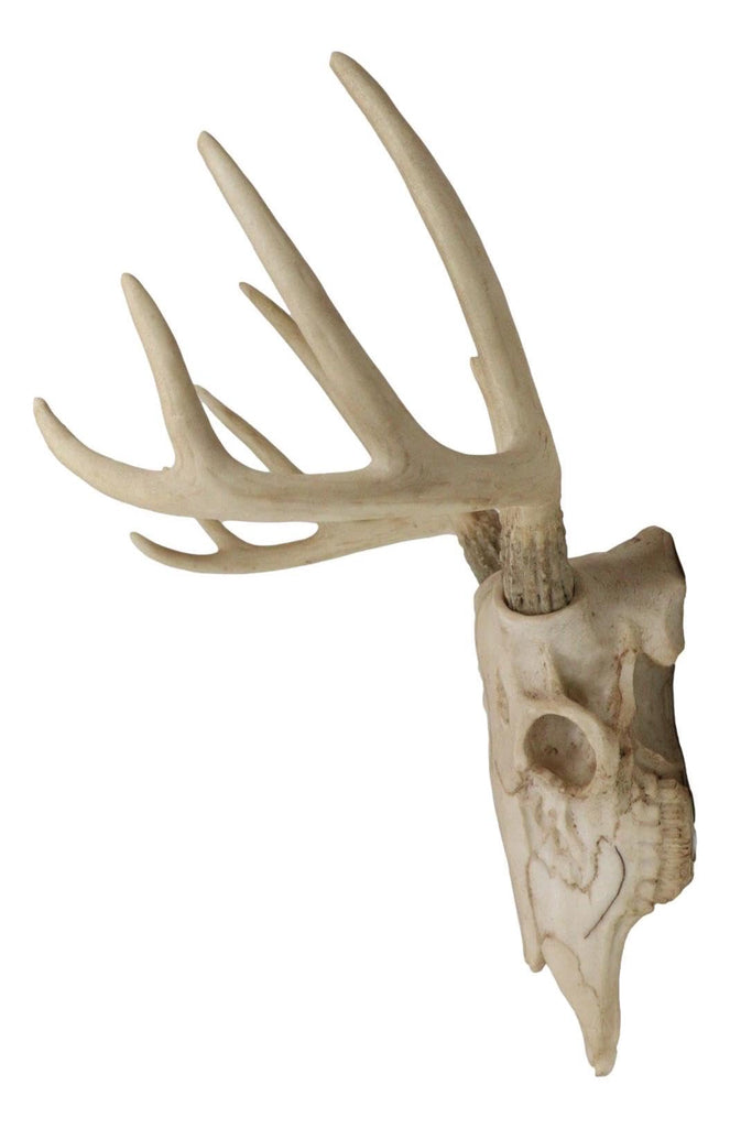 Rustic Hunter Deer 10 Point Buck Skull Trophy Antlers Wall Mounted Plaque Decor Figurine 14.25" Long Hunter's Antler