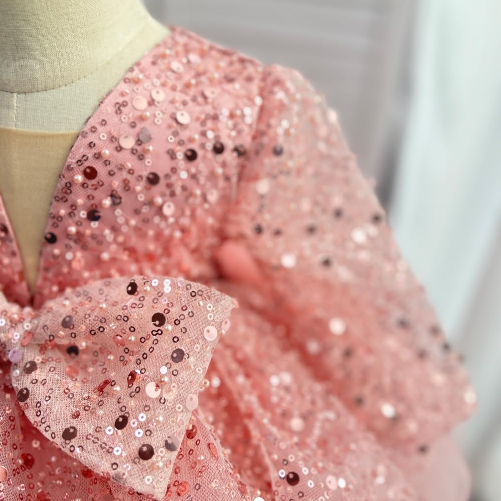 Baby Girl Pageant Dress Sequins Embroidered Lace Toddler Flower Dress
