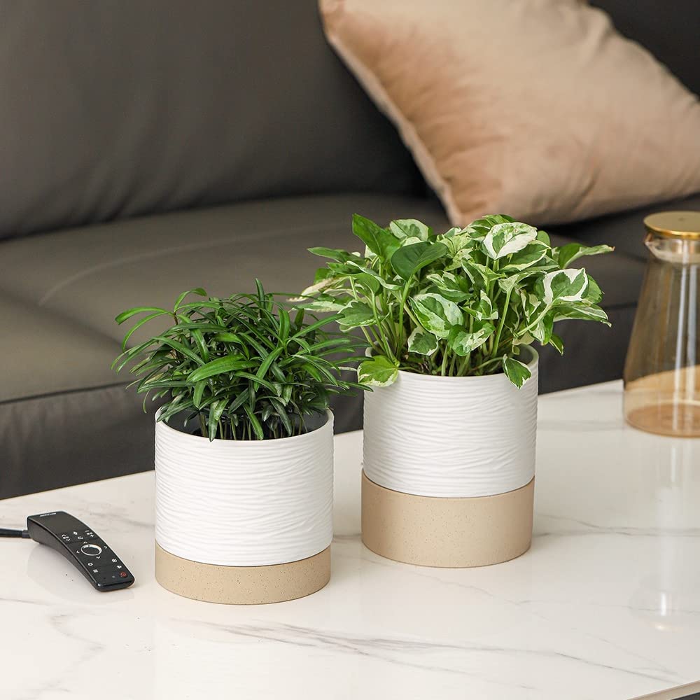Ceramic Self Watering Plant Pot for Indoor Plants, 6 Inch, White