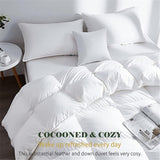 Organic Feathers Down Comforter Full, All Season Duvet Insert with 100% Organic Cotton Cover