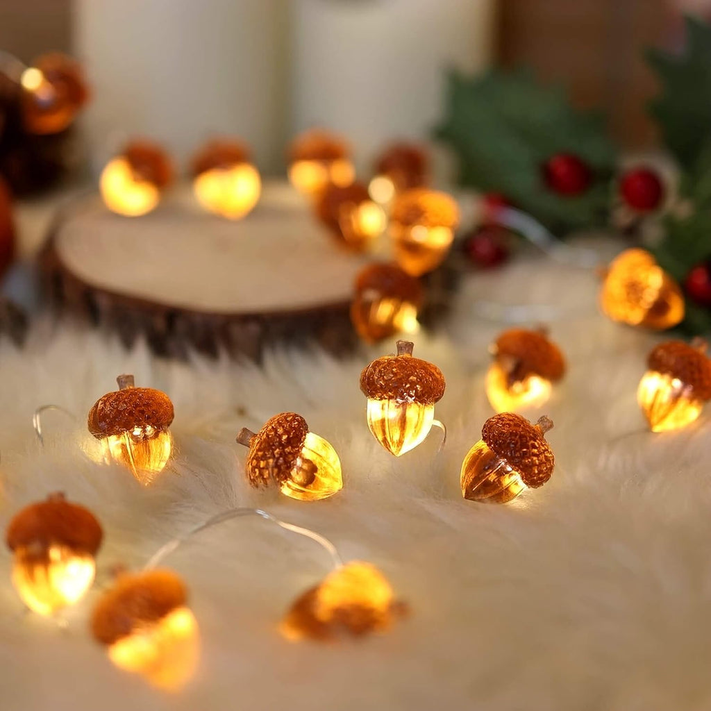 Decorative Fairy Acorn String Lights Thanksgiving Decoration Autumn Garland Cute Novelty Lights 30 LEDs 10 ft Battery