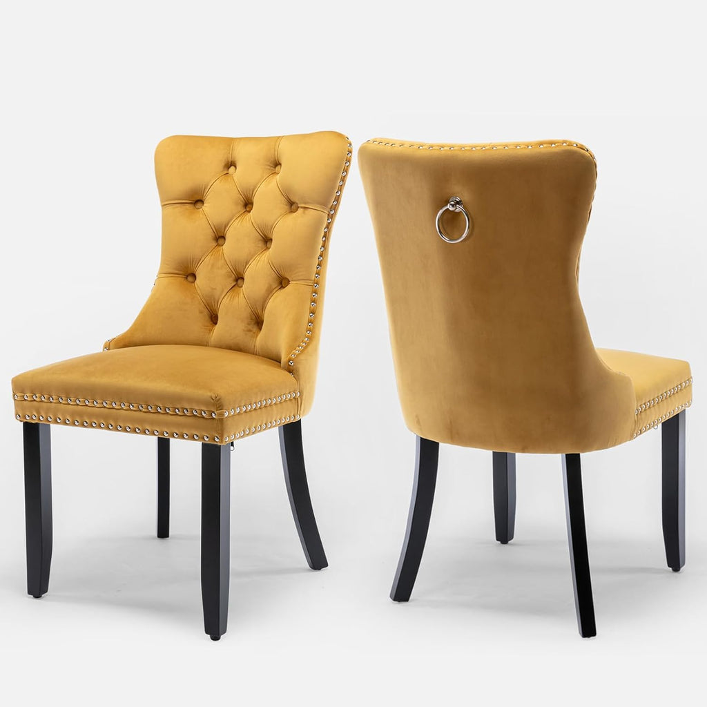 Velvet Upholstered Dining Chairs Set of 2, Modern Style Kitchen Side Chairs with Nailhead Trim and Wood Legs,Metal