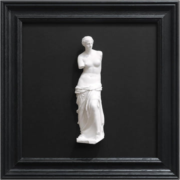Framed Black and White Wall Sculpture Venus de Milo