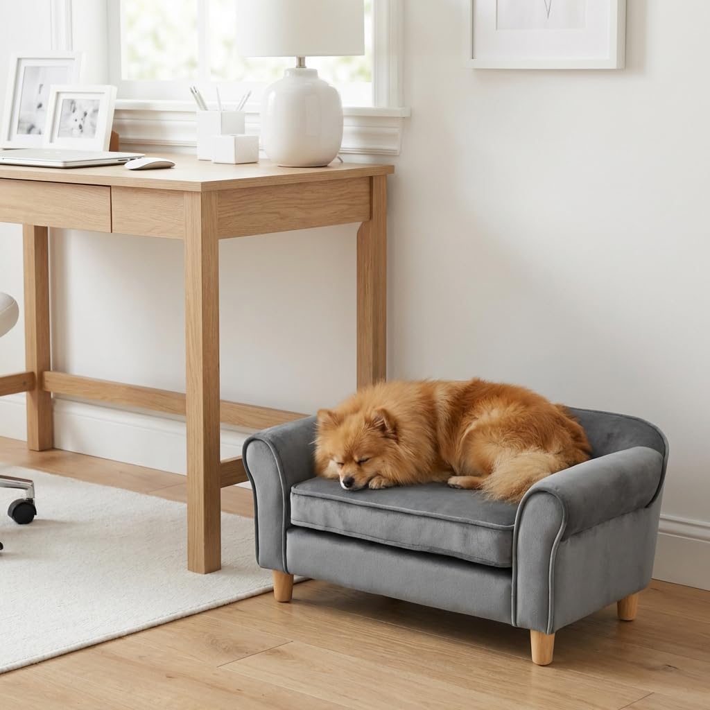 Pet Sofa Bed for Small Dogs and Cats with Backrest and Armrest 28.7" Modern Velvet Pet Couch Comfort Elevated Dog