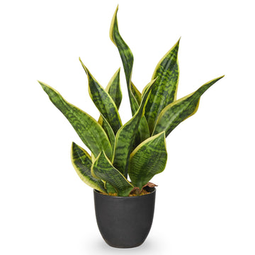 Artificial Snake Plant 11 Inch Small Potted Good Luck Plant Fake Snake Plants Faux Mother In Law Tongue Sansevieria
