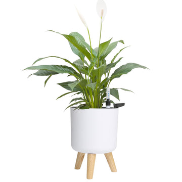 6.5" & 5.5" Self Watering Planters (2 Pack) for Indoor Plants with Water Indicator, White Modern Flower Pot with Wood