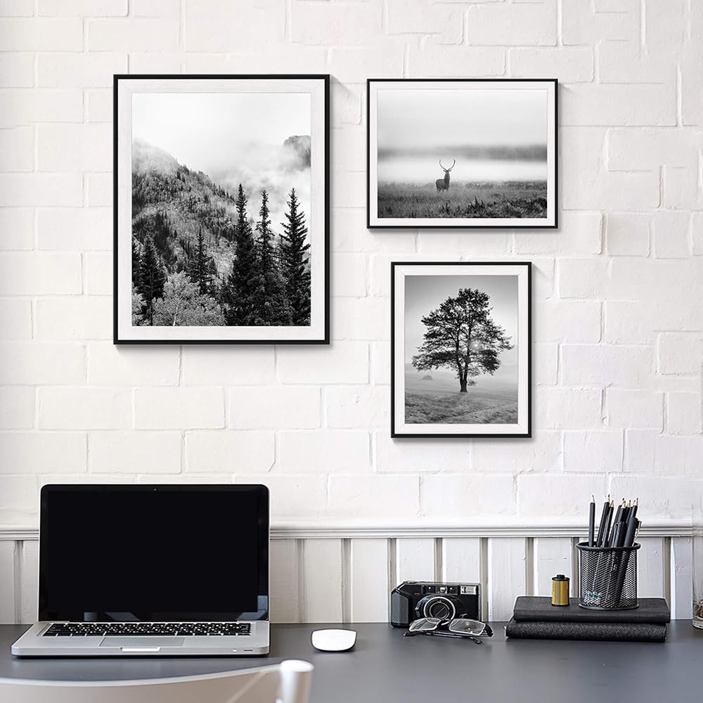 3 PCS Black White Natural Misty Mountain Gallery Framed Wall Art