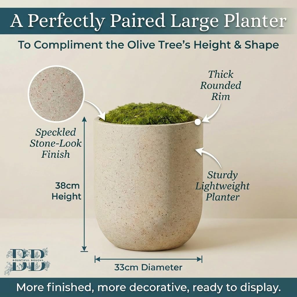 6ft Artificial Matte Olive Tree with 15" Tall Planter & Wireless LED