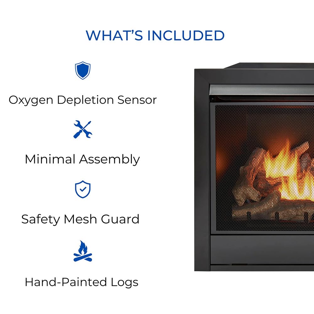 Dual Fuel Ventless Gas Fireplace Insert - 32, 000 BTU, Remote Control - Model# FDI32R