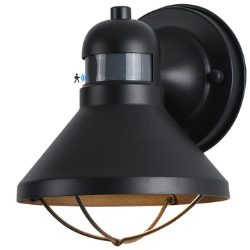 Dusk to Dawn Motion Sensor Outdoor LED Porch Wall Light Fixture
