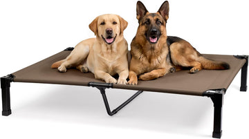 Elevated Outdoor Dog Bed, Raised Dog Bed with Steel Framed