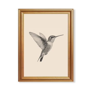 Hummingbird Illustration Wall Art, Gold-Tone Frame, 12 x 16 Inches