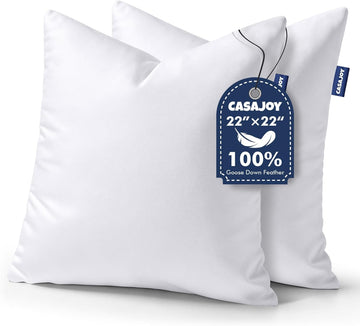 22x22 Pillow Inserts Down Feather Throw Pillows for Couch - Set of 2