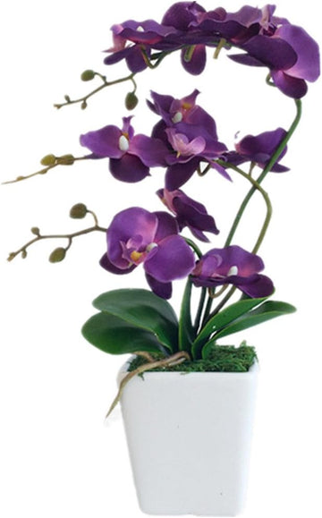 15" Silk Phalaenopsis Orchid in Square Pot, Dark Purple Flower Arrangements