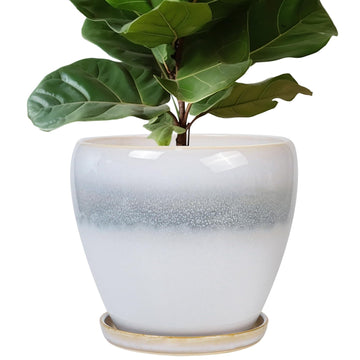 Ceramic Planter - 10 Inch Plant Pot with Drainage Hole and Plant Saucer, Round Decorative Large Flower Pots Indoor