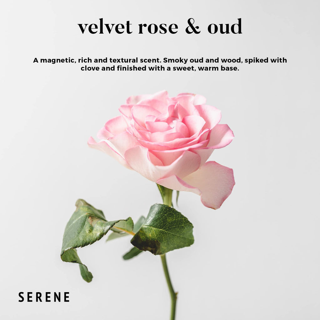 Velvet Rose & Oud Scented Candle, 30oz 3-Wick Large Jar