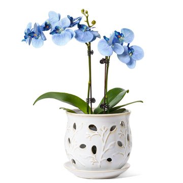Ceramic Orchid Pot, 6.5 Inch Orchid Planter with Holes for Repotting, Indoor Flower Plant Pot with Drainage and