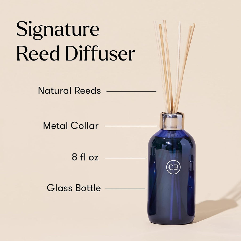 Volcano Reed Diffuser Set - Includes Reed Diffuser Sticks, Fragrance Oil, and Glass Bottle - Luxury Scented Room