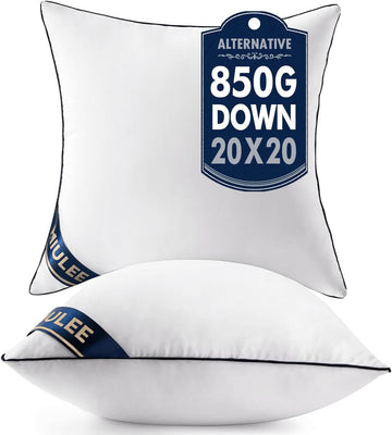 20x20 Pillow Inserts 2 Pack, Premium Down Alternative Throw Pillows - Set of 2